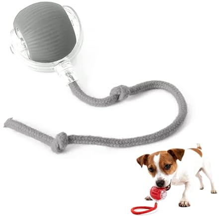 bergxperten FlitzBall Interaktives Elektrisches Katzenspielzeug - Katzenball mit LED Licht, Seil und USB Wiederaufladbarer für Katzen Selbstbeschäftigung