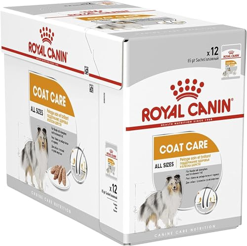 Royal Canin Coat Care Loaf | 12 x 85 g | Alleinfuttermittel für ausgewachsene Hunde Aller Rassen | Kann dabei helfen die Haut- und Fellgesundheit zu unterstützen | Mousse