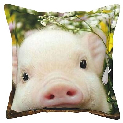 Housses de coussin en cuir imprimé cochon de colza pour extérieur, décoration ferme, housses de coussin pour canapé, lit, voiture sans oreiller, 50,8 x 50,8 cm