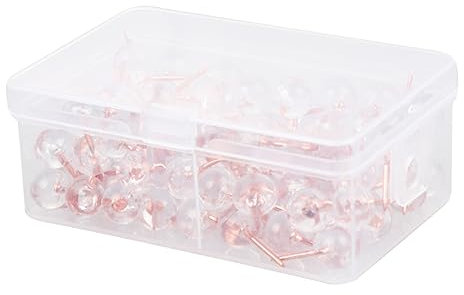 SEWACC Transparente Reißzwecken 100 Stück Flacher Kopf Rostfreier Stahl Mit Aufbewahrungsbox Für Pinnwand Karten Und Büro