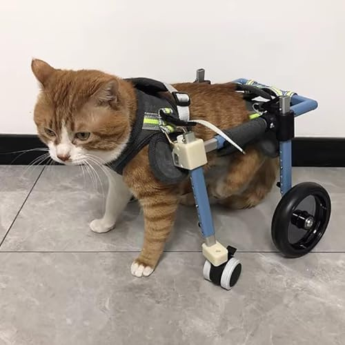 Verstellbarer Haustier-Rollstuhl mit umwandelbaren 4 bis 2 Rädern, Stützbandage für Hunde und Katzen mit Verstauchung, ACL-Verletzung oder Arthritis, Mobilitätshilfegerät