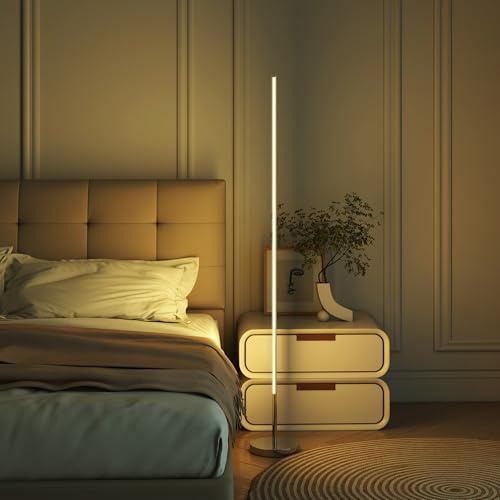 HOMCOM Lámpara de Pie Moderna con Brillo y Temperaturas de Color Ajustables 3000K-6000K, Lámpara Salón con Mando a Distancia Magnético, Temporizador, para Oficina Dormitorio Decoración, Gris Plateado