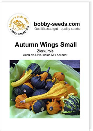 Autumn Wing S Zierkürbis von Bobby-Seeds, Portion