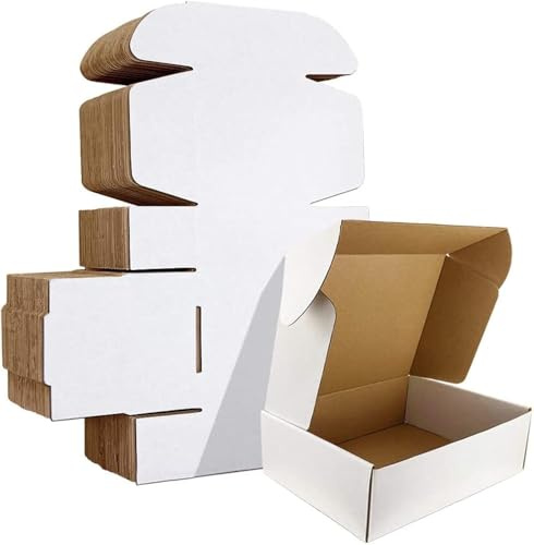 HORLIMER 25 stycken fraktkartong liten kartonglåda, 229 x 153 x 51 mm förpackningslådor med lock för varor, presentförpackning, vikkartong, postkartong (vit)