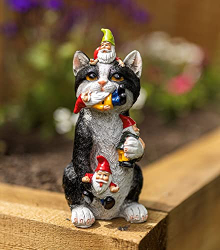 Garden Mile Resin Gnome Eating Cat Colourful Garden Ornaments Outdoor Indoor Decoration For Home Patio Decking Pondside Flowerbed Standing Novelty Weatherproof Kitten Cat Statue Garden Statues Outdoor