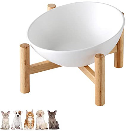 Koomiao Keramik Fressnapf Katzen,Futternapf Katze mit Halter 15° Neigung Katzennapf,Katzenfressnapf,Geeignet Kleine Mittelgroße Katzen und Hunde (300ml, Weiß)
