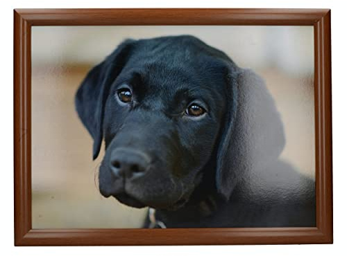 Creative Tops 'Labrador' Gepolstertes Beanbag-Schoßtablett, 44 x 34 cm (17,5 x 13,5) - Mehrfarbig
