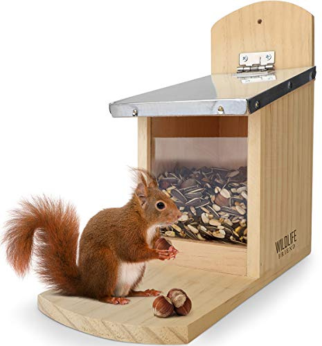 Squirrel Feeder With Metal Roof - Natural Wood, Extra Long Feeding Platform for Red Squirrels - Hanging Feeding Station for Garden