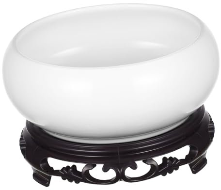 BEBEMOKO 1set Vasi Idroponici Ceramica Con Base Per Piante Grasse e Fiori Contenitore Decorativo Per Giardino e Interni Design Elegante e Versatile