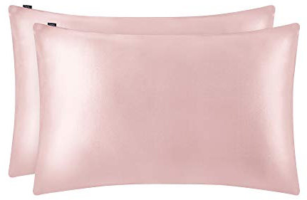 25 Momme Seidenkissenbezug [1 Stück] Hypoallergen, Anti-Haarausfall, Milbenresistent, nische Maulbeerseide, Pastellrosa, 60 x 60 cm - Haarschutz & Hautgesundheit