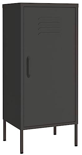 Aktenschränke Schrank Stahl Stahlblech Lagerschrank Aktenschrank mit 2 Höhenverstellbaren Regalfächern, Sideboard Kommode Stahlschrank Beistellschrank, Leichte Montage, Anthrazit 42,5x35x101,5 cm