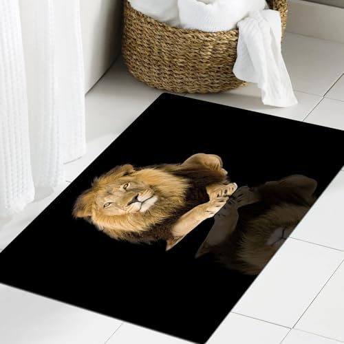 JHAOUNUK Weich Badezimmerteppich 40x60cm,Klassische Tänzerin Tanzt in den Sternen und im Licht,rutschfest waschbar Badematte Flauschige Badteppich Saugfähig Badvorleger Duschvorleger