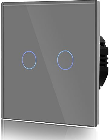 BSEED Interrupteur Tactile 2 Gang 1 Voie Interrupteur Général à Commande Tactile, Interrupteur Mural à Commande Tactile Avec Indicateur LED et Panneau en Verre 110V-240V Gris