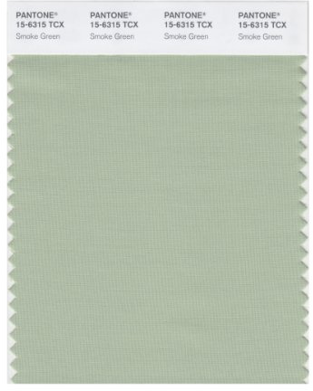 PANTONE Smart 15-6315X Color Swatch Card, Smoke Green
