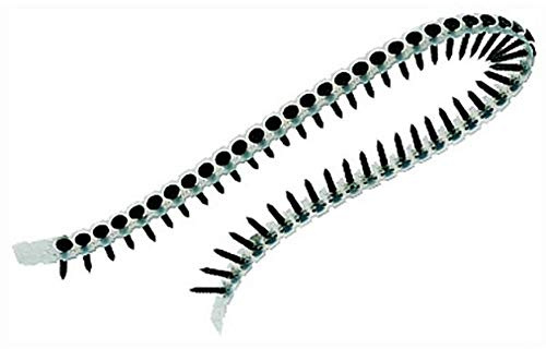 Makita F-31166 - Tornillo para tabiquería seca sobre guía metálica