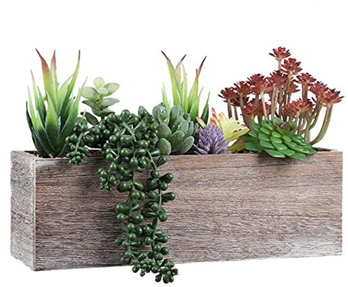 Aisamco Künstliche Sukkulenten in Holzkiste 29cm | Sortiert, Kaktus Mix, Rustikal, Hochzeit Deko, Zuhause, Wüsten Thema, Mini, Arrangement