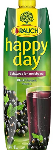 RAUCH HAPPY DAY Néctar de grosella negra brik 1 l