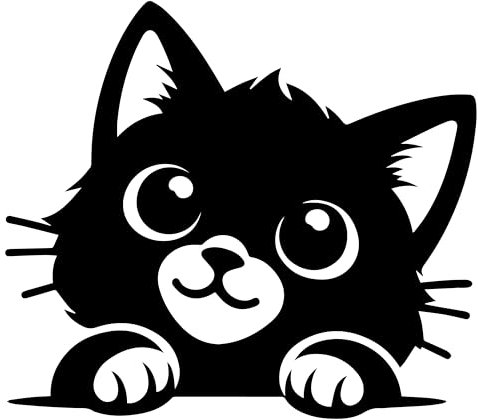 Lot de 2 autocollants en vinyle imperméable pour mur, ordinateur portable, voiture, bouteille d'eau, moto, camionnette, cadeaux amusants (14 cm x 12,5 cm)