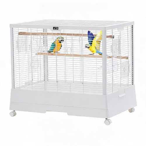 Grande Cage Oiseau, Cage Spacieuse sur roulettes | échelles Et Plateau Amovible – Convient Pied Volière Canaries Perroquets, Perruches, Calopsittes, Conures