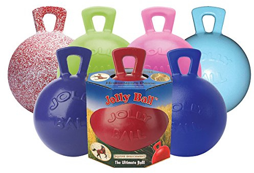 Horsemens Pride Inc. 0788169014105 Horsemen 's Pride 25,4 cm Pferd Jolly Ball Peppermint Duft