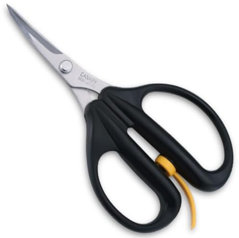 CANARY Craft Scissors All Purpose Heavy Duty Curved Sharp Tips, Japanese Stainless Steel Blade, Spring Loaded Hand Shears Tool for Fabric, Rubber, Quilting, Patchwork, Made in Japan
