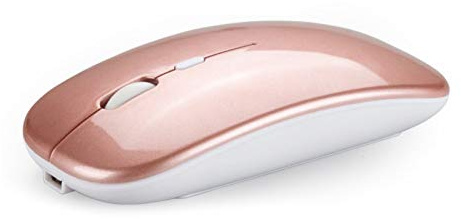 Souris sans fil Bluetooth 5.0 2,4 G rechargeable par USB pour PC et ordinateur portable
