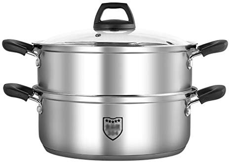 ANSNOW Olla Vaporera de 2 Niveles, Juego de Olla Vaporera, Cacerola de Acero Inoxidable con Tapa de Vidrio Templado, Fondo Compuesto/28 * 21Cm