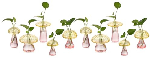Glasseam Pilzpflanzen-Anzuchtstationen: Farbiges Glas-Terrarium-Glas, Set mit 10 niedlichen Pflanzgefäßen für Zimmerpflanzen, Mini-Anzuchtstation, einzigartige Weihnachtsgeburtstagsgeschenke für