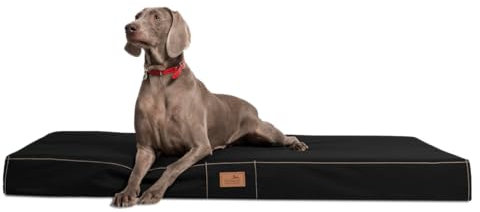tierlando® Mobile Hundematratze Hugo Basic | Gehobene Stabilität & Qualität! | Anti-Haar Polyester | | M 80 x 60 x 13 cm | Schwarz