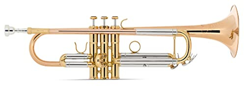 Lechgold TR-14G Bb-Trompete (für Einsteiger und Fortgeschrittene, Edelstahl-Ventile, inkl. Koffer, Mundstück, Reinigungstuch) Phosphorbronze