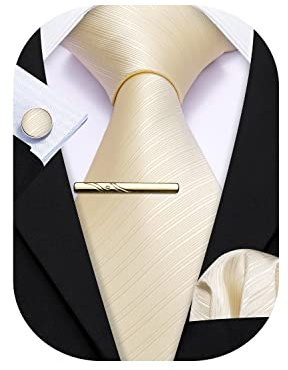 Barry.Wang Herren Krawatten Set Klassische Einfarbig Seiden-krawatte Einstecktuch Manschettenknöpfe Krawattenklammer für Hochzeit Party