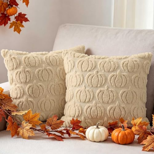 Benjia Lot de 2 pièces Housses de Coussin Déco Automne 40x40 cm, Citrouille Taies d'oreiller pour Ferme Thanksgiving Halloween Automne Maison canapé Chambre décoration 40 x 40 cm (Beige)
