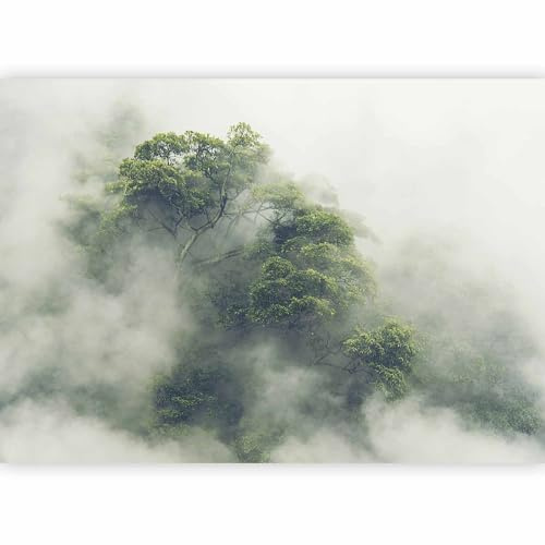 murando Fotomurales Bosque Niebla 400x280 cm XXL Papel pintado | tejido no tejido Decoración de Pared decorativos Murales moderna Fotográfico Naturaleza Arbol Paisaje