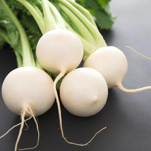 Semi di Rapa Bianca 100pz