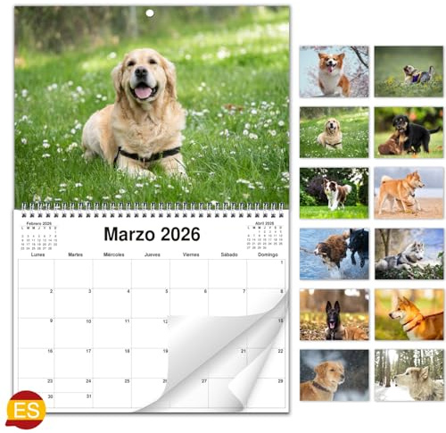 AEYAKA Calendario de Pared 2026 de Perros Fotos de Adorables, Formato A3 Abierto, Organizador Familiar y de Oficina, Regalo Ideal para Amantes de los Perros Español