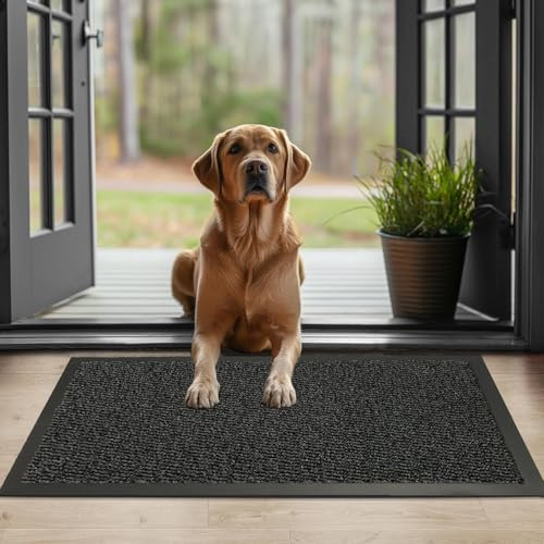GULLAMBO Muddy Mats 80cm x 60cm Large Front Door Mat Non Slip Washable thin Indoor Mats,Rubber Backed Dirt Trapper Mats for Muddy Paw