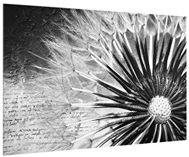 micasia Fond de hotte avec support épaisseur 4mm fleurs crédence cuisine pissenlit verre trempé panneau mural noir et blanc crédence en verre style vintage cuisine 1455 (60x40cm)