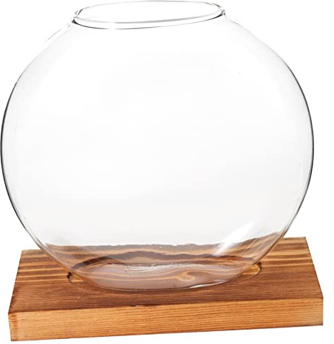IWOWHERO Flower Propagation Station Green Pothos Desktop Vase Terrarium Bowl for Home Planting Container Decorative Bottle