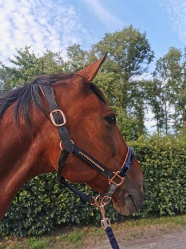 Esposita Lederhalfter mit Lackleder, Straß und anatomischem, gepolsterten Genickstück - Schwarz mit Rosegold (Pony)