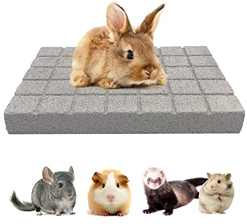 BNOSDM Rabbit Grinding Claw Pads Natural Hamster Lava Stone Teeth Grinding Scratching Pad Chew Toy for Small Animals