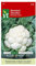 Chou-fleur Walcheren Winter Graines