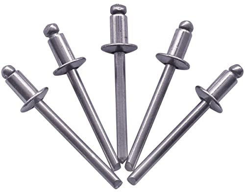 SKIR'CO Paquete de 100 remaches ciegos de acero inoxidable de 4,8 x 8 mm, cabeza de cúpula, remaches pop, DIN 7337, remaches A2 (100, 4,8 x 8 mm)