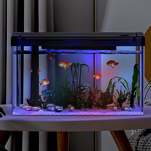 Crevyteg Kit de Démarrage pour Aquarium, 19 L Aquarium avec Filtre et Lumière, Aquarium Rectangulaire avec Filtre et Alimentation en Oxygène, Décoration de Table pour Maison, Bureau, Salon