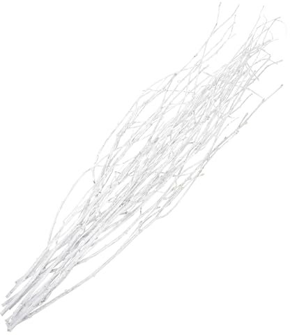 Amosfun 10stücke Getrocknete Zweig Dekoration Natur Baumzweig Für Vase Haus Hochzeit Blumensträuße Zimmerdeko Anlage Zweig Echt Getrocknete Zweige Zur Raumdekoration Und Feiertagsdekoratio