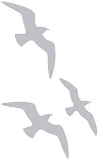 GRAZDesign Fenstertattoo Möwen maritim, Vogelschutz Folie, Fensteraufkleber für Badezimmer, Glastattoo für Dusche / 93x57cm