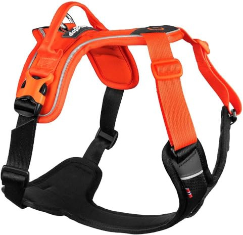 Non-Stop dogwear Ramble Harness | orange | Führ und Alltagsgeschirr, Größe:S