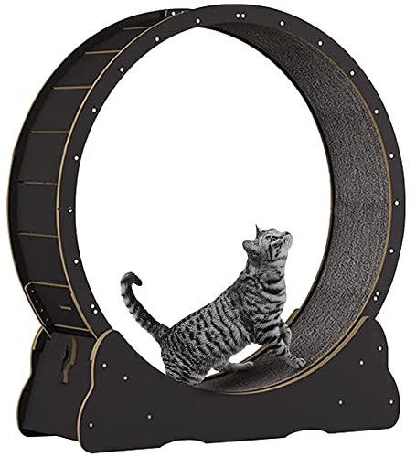 Großes Katzenlaufband mit No-Gap-Design, Laufrad für Indoor-Katzen, Sicherheit, leises Katzenlaufrad, Katzen Gewichtsverlustgerät mit Feststellvorrichtung, Schwarz-XL