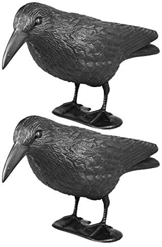 mgc24 Taubenschreck Rabe Lummy Vogelattrappe, Schwarz, Kunststoff, 2 Stück | Zur Abwehr von Tauben/Möwen/Kleinvögeln, Für Garten/Balkon/Terrasse, Einfache Befestigung, effektiv, langlebig & ohne Chemie