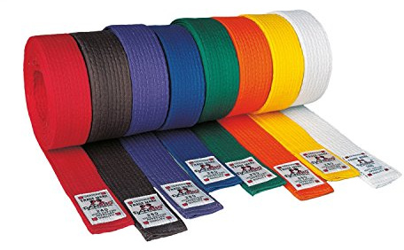 DanRho Taekwondo Judo Ju Jutsu Karate Gürtel 4 cm, Einfarbig, Unisex, Martial Arts Enthusiasts, Gürtel