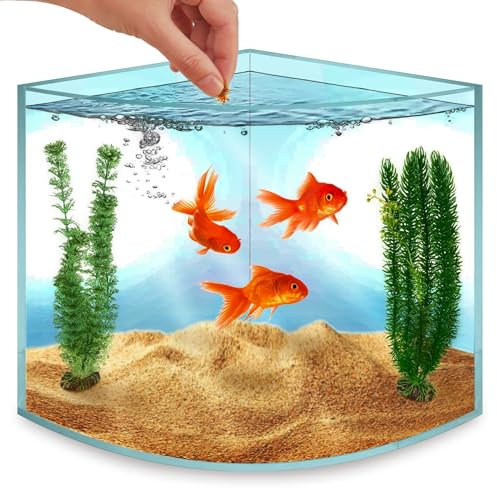 Skywin Betta Fish Tank - 1.71 Gallon, Acrylic Beta Fish Aquariums, Corner Fish Tank, Small Fish Tank for Real Life Fish, Clear Seamless Desktop Corner Aquarium for Small Fish, Shrimp & Plants Only
